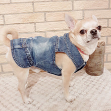 Load image into Gallery viewer, Copy of Small Dogs Cool Dog Denim Jacket Jeans