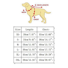 Load image into Gallery viewer, Four Legs Patch Jeans