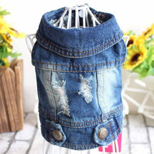 Load image into Gallery viewer, 2020 Spring Denim Dog Vest Graffiti Tassel Clothes for Small Dogs Shih Tzu Yorkshire Puppy Jeans Jacket for Chihuahua ropa perro