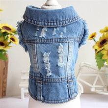 Load image into Gallery viewer, 2020 Spring Denim Dog Vest Graffiti Tassel Clothes for Small Dogs Shih Tzu Yorkshire Puppy Jeans Jacket for Chihuahua ropa perro