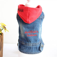 Load image into Gallery viewer, 2020 Spring Denim Dog Vest Graffiti Tassel Clothes for Small Dogs Shih Tzu Yorkshire Puppy Jeans Jacket for Chihuahua ropa perro