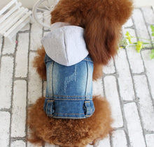 Load image into Gallery viewer, 2020 Spring Denim Dog Vest Graffiti Tassel Clothes for Small Dogs Shih Tzu Yorkshire Puppy Jeans Jacket for Chihuahua ropa perro
