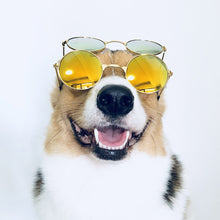 Load image into Gallery viewer, Medium Large Dog Glasses Fashion Eye-wear