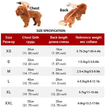 Load image into Gallery viewer, 2020 Spring Denim Dog Vest Graffiti Tassel Clothes for Small Dogs Shih Tzu Yorkshire Puppy Jeans Jacket for Chihuahua ropa perro