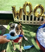 Load image into Gallery viewer, Luxury Pet Toy