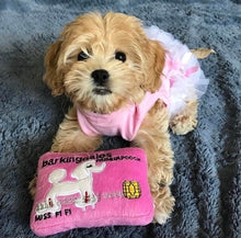 Load image into Gallery viewer, Luxury Pet Toy