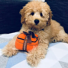Load image into Gallery viewer, Luxury Pet Toy