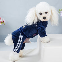 Load image into Gallery viewer, Fashion Letter Pet Dog Clothes for Small Dogs Coat Hoodie Sweatshirt Four Seasons Dog Clothing Cartoon Pets Clothing Bodysuit
