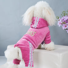 Load image into Gallery viewer, Fashion Letter Pet Dog Clothes for Small Dogs Coat Hoodie Sweatshirt Four Seasons Dog Clothing Cartoon Pets Clothing Bodysuit

