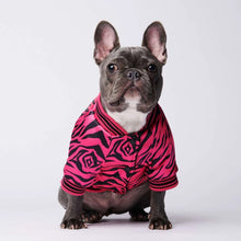 Load image into Gallery viewer, SUPREPET Dog Clothing for French Bulldog Gold Embroidery Dog Jacket Coat Warm Dog Clothes Puppy Outfit Cotton Dogs Jacket Rope
